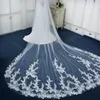 Brudslöjor Appliced ​​Long Wedding Veil med Comb Vintage Mönster Blusher broderad droppe 2 Tiers Cathedral