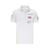 2021 Summer F1 Polo Formula One Racing Suit Polo T-shirt à revers de grande taille peut être personnalisé avec le même tissu Lando Norris263b