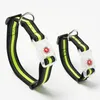 Colliers de chien Collier LED Laisse Set dans la nuit pour animal de compagnie Pooch Buddy Lumière Clignotant Chiot Cou Nylon Bande Sombre Entraînement En Plein Air Jouer