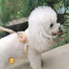 Dog Collars Fashion Harness Leash Set Adjustable Soft Cute Bear For Small Medium Pet Outdoor Walking Supplies