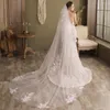 Brautschleiern Frauen 250 cm lange Applikationen Hochzeit für Bräute 2023 Soft Tulle Chapel Schleier mit Kamm One -Layer Velos Para Novia