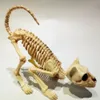 Oggetti decorativi Figurine Halloween Scheletro Scarico Decorazione 1pc Accovacciato Scheletro Cat CATTO Modello Creepy Animal Bones per Vampire Party Trick 230823