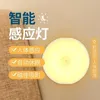 Night Lights LED Intelligent Human Body Induction Small Light Closet Hallway Stair USB Rechargeable