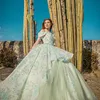 Sage Green Shiny Off The Shoulder Ball Gown Quinceanera Dresses For Girls Beaded Applique 3D Flowers Birthday Party Gowns