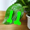 Dangle Earrings 2023 Fashion Green Men Human Organs Acrylic Drop For Women Personality Earring Girl Female Party Jewelry