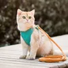 Dog Collars Leashes Escape-Proof Pet Harness and Leash Set Training Walking Leads for Small Cat Dogs Harness Collar Adjust Kitten Leash Drop 230823