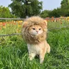 Costumes de chat, chapeau amusant pour animaux de compagnie, crinière de Lion pour chiens, déguisement de Cosplay, perruque de chiot, décoration de fête, fournitures d'halloween et de noël