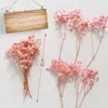 Decorative Flowers Wreaths 100g120g Gypsophile Real Dried Flower Baby's Breath Preserved For Boho Home Decor Artificial Wedding Table Decoration 230822