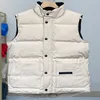 Winter dicke Herrenwesten ärmellose Designer-Gilet Daunenweste North Design für Mann Bodywarmer Pufferjacke Frau Outwear Mode Hochwertiger Luxus