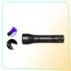 Modi LED UV Ultraviolet Fackel mit Zoomfunktion Mini Schwarzlicht PET -Urin -Flecken Detektor Skorpion Jagd Taschenlampen Taschenlampen 21131084