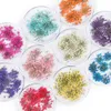 Nagelkonstdekorationer 100 st torkade blommor nagelkonstdekoration charms naturliga blommor klistermärken diy manikyr tillbehör för uv gel nagellackförsörjning 230822