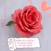 10st Simulering Rose Head Silk Flowers Diy Clothing Hat Presentlåda Dekorativ blommorkonst Rose Wreath Wedding Flower Wall Backdrop