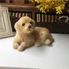 Garden Decorations Simulation Golden Retriever Model Plastic&furs Prone Dog Home Desk Decoration Gift About 18x16cm D0719