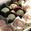 50st/Lot Tulip Cupcake Baking Cups Muffin Baking Foders Holder Rustic Cupcake Wrapper Molde Cupcake Paper Cups Bakeware Tools AU24