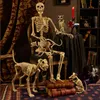 Andra evenemangsfestartiklar skelett djur 100% plastdjur skelett ben skräck halloween jul prop animal kråka skelett dekoration år 230823