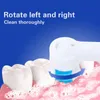 Escova de dentes elétrica rotativa com base recarregável dental automática vibração de alta frequência manchas de tártaro remover clareamento dos dentes 230824