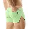 Underpants Sexy Men's Panties Boxer Cotton Pouch Underwear For Men Antibacterial Short Calzoncillos Mid-Rise Big Size Gay Briefs