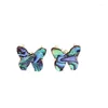 Orecchini per borchie Fashion Butterfly Abalone Shell Stone Gold Color Gold Brincos Pendientes Brand Jewelry Women Women