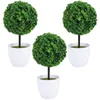 Fiori decorativi simulazione in vaso bonsai desktop ornament palla di ciliegia artificiale imitazione imitazione verde decorazione verde plastica