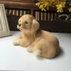 Garden Decorations Simulation Golden Retriever Model Plastic&furs Prone Dog Home Desk Decoration Gift About 18x16cm D0719