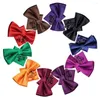 Bow Ties Hi-Tie 10 PCS Silk Mens Tie Hanky Cufflinks Set Classic Solid Pre-tied Butterfly Knot Bowtie For Male Wedding Business Gift
