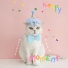 Vêtements de chien mignon dentelle paillettes chapeau d'anniversaire pour animaux de compagnie et collier de noeud papillon ensemble pour chaton chiot chat fournitures de fête accessoires