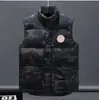 Mulheres Down Parkas Mens Colete Designer Coletes Jaqueta De Ganso Canadense Colete Pena Material Solto Casaco Grafite Cinza Preto Gilet 910