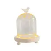 Bottles Glass Cloche Dome Party DIY Micro Landscape Holder Clear Bell Jar