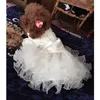 Dog Apparel Clothes Spring Autumn Small Dogs Puppy Thin Teddy Frise Princess Dress Wedding Dresses Cat Anti Hair Drop Skirts