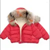 Daunenmantel Winter Mädchen Baumwolle gepolsterte Jacke koreanische Version 1-7 Jahre alte Jungen verdickte Kinder