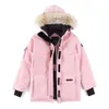 Мужчины зима вниз по курткам Parkas Jassen Chaquetas Overwear Canadian Goose Manteaus wyndhams Куртка Пелл