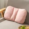 Pillow Kawaii Sofa S Pillows Linen Rectangle Modern Living Room Filling Original Office Japan Cojines Home Decorations