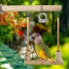 Autres fournitures d'oiseaux Perroquet Support en bois Balançoire avec perle à mâcher 1 pièce Hamac Cage suspendue pour perruches perruches pinsons petit moyen grand