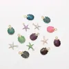 Charms 50 st/lot färger Starfish Shell Pendant Charm Hang Fit For DIY Armband Halsbandörhängen smycken