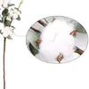 Decorative Flowers 21 Inch Natural Dried Cotton Stems Flower Nordic Style Artificial Balls White Wedding Decor