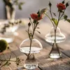 Vasen Pilzförmige Glasvase, Hydrokultur-Pflanzenvase, kreatives Glashandwerk, Dekor für Zuhause, Wohnzimmer, Glasvase für Pflanzen, Blumen, 230824