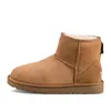 Tasman slippers laarzen ontwerper kastanje bont harige glijbanen shearling tazz mules vrouwen mannen ultra mini platform slip-on schoenen suède bovenste comfort herfst winter ugity