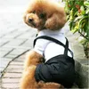 Dog Apparel Pet Supplies Four-legged Clothes Dresses Suits Bows Buckles Straps Fashion Spring And Autumn