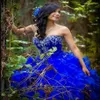 2019 Nouveau Royal Blue Sweet 16 Quinceanera Robes Chérie Perlée Broderie Tiers Volants Jupe Robe De Bal Princesse Longue Bal Dre251c