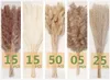 Decorative Flowers 110Pieces Pampas Grass With White Tail Dried Artificial For Bathroom Decorations Office Baby Shower Decor