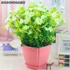 Dekorativa blommor cymbidiumhoppning Simulering Flower Bonsai Set Artificial Daisy Living Room Table Decoration Inomhus inomhus