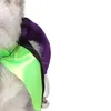 Colliers pour chiens, 2 pièces, délicat et magnifique animal de compagnie, Halloween, pour fête, taille S (noir, vert, violet)