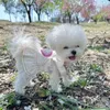 Vêtements pour chiens Pet Love Paillettes Sangle Jupe Denim Blanc Printemps Automne Vêtements Yorkshire Maltese Petits Vêtements Chiot