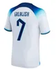 2023 2024 2025 Euro Cup Englands Jersey Bellingham Home Away Soccer Jersey