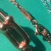 Collana di design Collana di design di lusso Fibbia a ferro di cavallo Collane Gioielli con ciondolo bracelact Regalo per feste per coppie 3 colori buoni