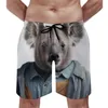 Shorts pour hommes Koala Board Summer Portraits étonnants Dapper Vêtements Rétro Sports de plage Fiess Séchage rapide Maillot de bain personnalisé