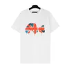 T-shirts graphiques Tshirt Mode d'été Hommes Femmes Designers T-shirts à manches longues Tops Luxurys Lettre Coton T-shirts Vêtements Manches Vêtements de haute qualité S-XL
