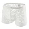 Underpants Plus Size Mens Lace Mesh Panties Solid Hollow Floral Sexy Boxers Low Rise Slim Lift Hips Lingerie Transparent Penis Pouch Shorts