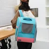 Spiegels Moorpet Cat Bag om mee te nemen Space Capsule Rugzak Pet Bag Ademend ontwerp voor katten- en hondenrugzakken Pet Carrier