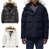 mens jacket Down jackets Parka Outerwear high-end hooded wolf fur windproof waterproof padded Thicken coat Downs filling Coats Out239j